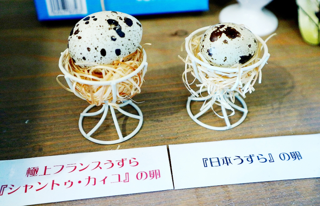 日本うずらの大きさの2倍！「シャントゥ・カイユ」の卵を取り扱っているのは、日本でここだけ！