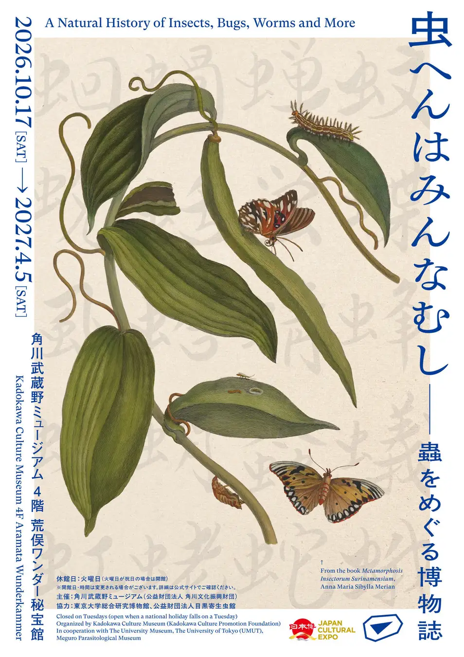 「虫へんはみんなむし－蟲をめぐる博物誌」メインビジュアル